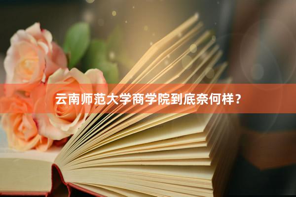云南师范大学商学院到底奈何样？